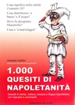 1000_quesiti_di_napoletanita