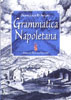 Grammatica_Napoletana_D_Ascoli_p