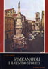 Spaccanapoli_Di_Mauro_p