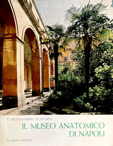  IL MUSEO ANATOMICO DI NAPOLI - Vincenzo Mezzogiorno, Bruno De Luca