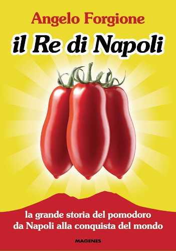 il re di napoli angelo forgione il re di napoli angelo forgione