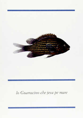 LO GUARRACINO CHE JEVA PE MARE - Christiane Groeben, Maria Cristina Gambi