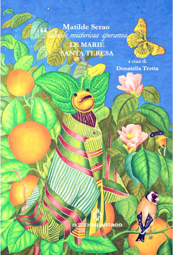 Matiilde Serao. "QUALE MISTERIOSA SPERANZA. LE MARIE. SANTA TERESA - A cura di Donatella Trotta libro Matiilde Serao. "QUALE MISTERIOSA SPERANZA. LE MARIE. SANTA TERESA - A cura di Donatella Trotta