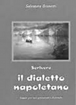 scrivere_il_dialetto_napoletano_brunetti