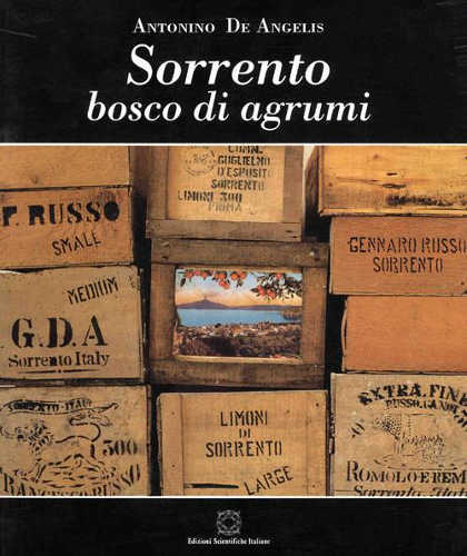 SORRENTO. BOSCO DI AGRUMI. Il secolo d'oro dell'agrumicultura sorrentina (1850 - 1950) - Antonino De Angelis SORRENTO. BOSCO DI AGRUMI. Il secolo d'oro dell'agrumicultura sorrentina (1850 - 1950) - Antonino De Angelis
