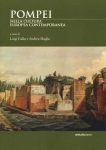 POMPEI NELLA CULTURA EUROPEA CONTEMPORANEA - A cura di Luigi Gallo e Andrea Maglio libro POMPEI NELLA CULTURA EUROPEA CONTEMPORANEA - A cura di Luigi Gallo e Andrea Maglio